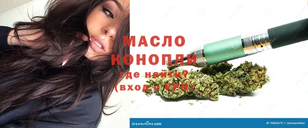 дмт Каменка
