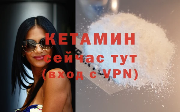 дмт Каменка