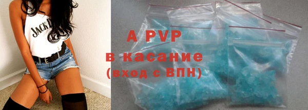 дмт Каменка