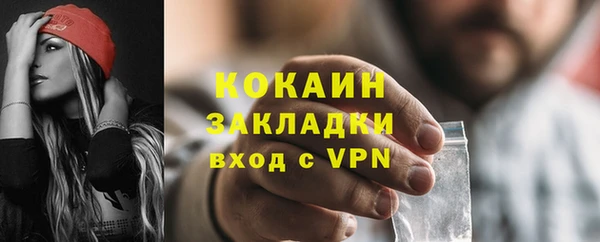 дмт Каменка