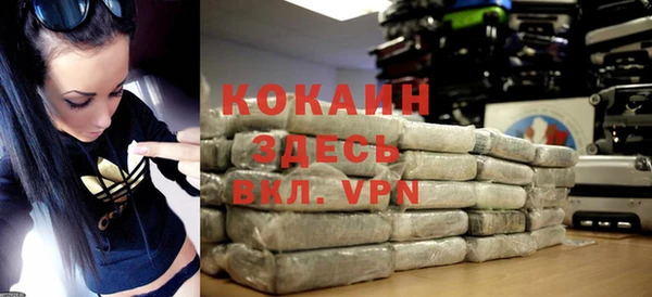 дмт Каменка
