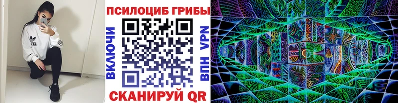 Псилоцибиновые грибы Psilocybine cubensis  Астрахань 
