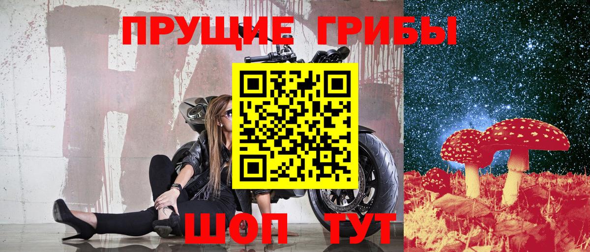 Галлюциногенные грибы мицелий Астрахань
